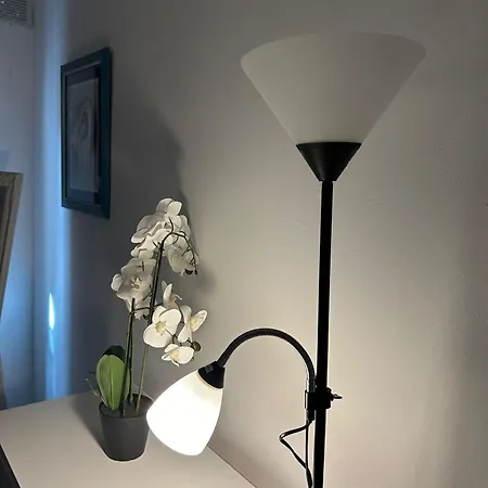 Apartament Winsdor *